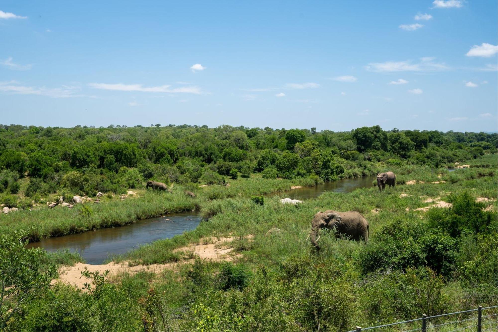 Leopard Sands Kruger Park Skukuza Luaran gambar